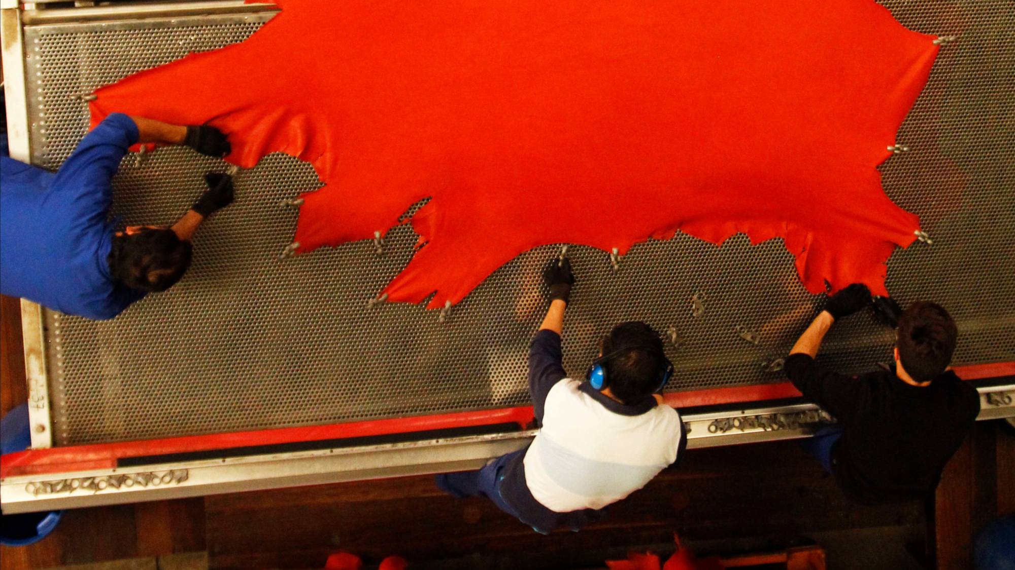 Herstellung von Leder. Drei Männer spannen eine rote Lederhaut auf einen Spannrahmen